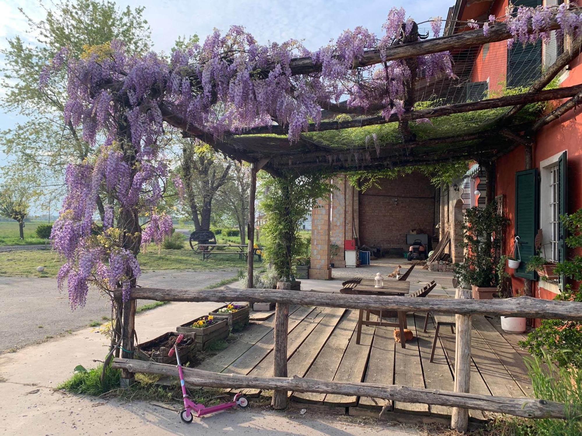 Fattoria Amelia Santa Caterina (Emilia-Romagna) Exterior foto